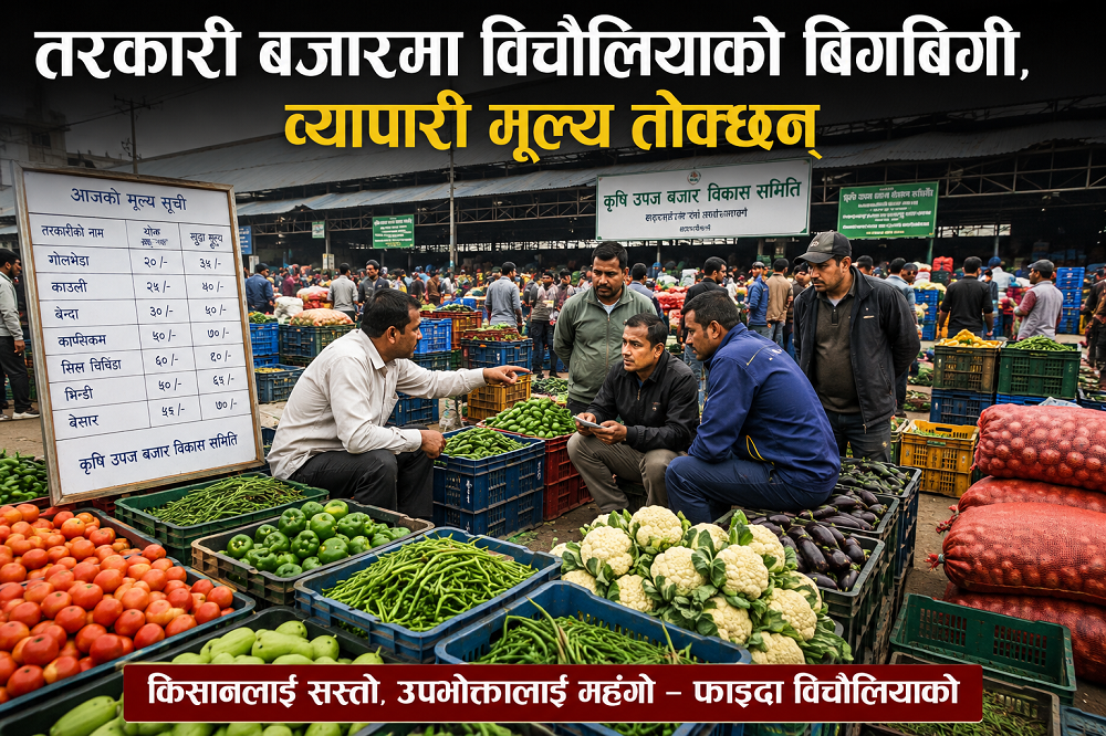 तरकारी बजारमा विचौलियाको बिगबिगी, मूल्य तोक्ने व्यापारी नै !